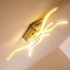 Mapleton lampa sufitowa LED Nikiel matowy, 4-punktowe