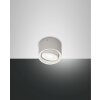 Fabas Luce Anzio Lampa Sufitowa LED Biały, 1-punktowy