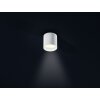 Helestra DORA 1 lampa sufitowa LED Biały, 1-punktowy