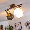 Lampa Sufitowa Blackburn Czarno-złoty, 2-punktowe