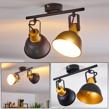 Lampa Sufitowa Blackburn Czarno-złoty, 2-punktowe