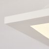 Sordos Lampa Sufitowa LED Biały, 1-punktowy, Czujnik ruchu