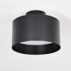 Baraboo Lampa Sufitowa LED Czarny, 1-punktowy