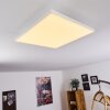 Buenaventura Lampa Sufitowa LED Biały, 1-punktowy, Zdalne sterowanie