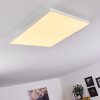 Cor Lampa Sufitowa LED Biały, 1-punktowy, Zdalne sterowanie
