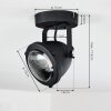 Glostrup Lampa Sufitowa LED Czarny, 1-punktowy