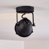 Glostrup Lampa Sufitowa LED Czarny, 1-punktowy