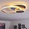 ManzanalesÂ  Lampa Sufitowa LED, 1-punktowy, Zdalne sterowanie