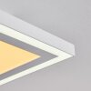 Salamo Lampa Sufitowa LED Biały, 2-punktowe, Zdalne sterowanie