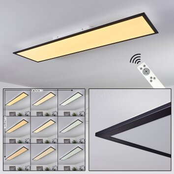 Nexo Lampa Sufitowa LED Czarny, 1-punktowy, Zdalne sterowanie