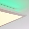Turbalá Lampa Sufitowa LED Biały, 2-punktowe, Zdalne sterowanie, Zmieniacz kolorów