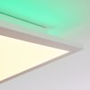Turbalá Lampa Sufitowa LED Biały, 2-punktowe, Zdalne sterowanie, Zmieniacz kolorów