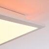 Turbalá Lampa Sufitowa LED Biały, 2-punktowe, Zdalne sterowanie, Zmieniacz kolorów
