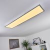 Nexo Lampa Sufitowa LED Biały, 1-punktowy