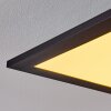 Nexo Lampa Sufitowa LED Czarny, 1-punktowy, Zdalne sterowanie