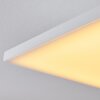 Salamo Lampa Sufitowa LED Biały, 1-punktowy, Zdalne sterowanie