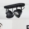 Glostrup Lampa Sufitowa Czarny, 2-punktowe