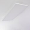 Buenaventura Lampa Sufitowa LED Biały, 1-punktowy, Zdalne sterowanie