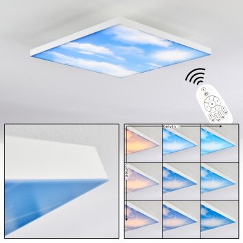 Onlaj Lampa Sufitowa LED Biały, 1-punktowy, Zdalne sterowanie