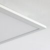 Turbalá Lampa Sufitowa LED Biały, 1-punktowy, Zdalne sterowanie, Zmieniacz kolorów