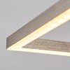 Cheka Lampa Sufitowa LED Nikiel matowy, 2-punktowe, Zdalne sterowanie