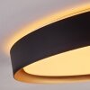 Beade Lampa Sufitowa LED Złoty, Czarny, 1-punktowy, Zdalne sterowanie
