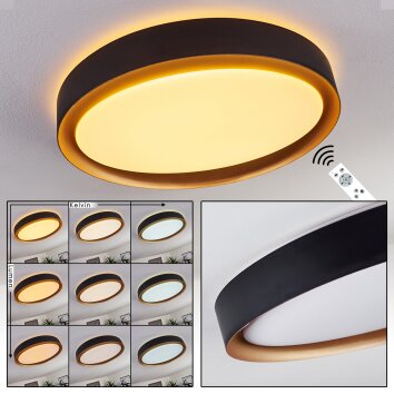 Beade Lampa Sufitowa LED Złoty, Czarny, 1-punktowy, Zdalne sterowanie