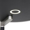 Steinhauer Turound Lampa Stojąca LED Czarny, 2-punktowe
