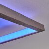 Momahaki Lampa Sufitowa LED Chrom, 1-punktowy, Zdalne sterowanie