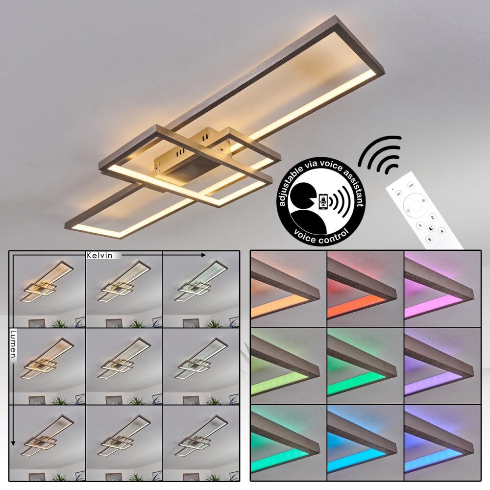 Momahaki Lampa Sufitowa LED Nikiel matowy, 1-punktowy, Zdalne sterowanie main product photo