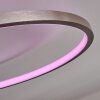 Moemoto Lampa Sufitowa LED Nikiel matowy, 1-punktowy, Zdalne sterowanie