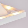 Badia Lampa Sufitowa LED Biały, 2-punktowe