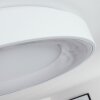 Casina Lampa Sufitowa LED Biały, 1-punktowy, Zdalne sterowanie