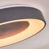 Casina Lampa Sufitowa LED Antracytowy, Biały, 1-punktowy, Zdalne sterowanie