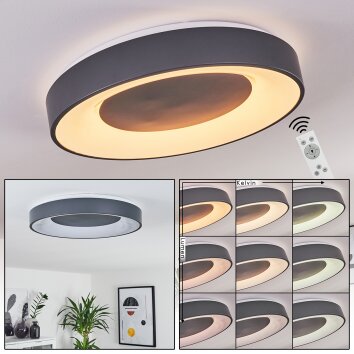 Casina Lampa Sufitowa LED Antracytowy, Biały, 1-punktowy, Zdalne sterowanie