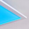 Gallitos Lampa Sufitowa LED Biały, 1-punktowy, Zdalne sterowanie, Zmieniacz kolorów