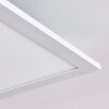 Gallitos Lampa Sufitowa LED Biały, 1-punktowy, Zdalne sterowanie, Zmieniacz kolorów