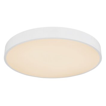 Globo LEANARA Lampa Sufitowa LED Biały, 1-punktowy, Zdalne sterowanie