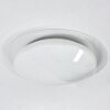 Cure Lampa Sufitowa LED Biały, 1-punktowy, Zdalne sterowanie, Zmieniacz kolorów