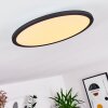 Nexo Lampa Sufitowa LED Czarny, 1-punktowy, Zdalne sterowanie