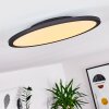 Nexo Lampa Sufitowa LED Czarny, 1-punktowy, Zdalne sterowanie