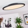 Nexo Lampa Sufitowa LED Czarny, 1-punktowy, Zdalne sterowanie