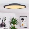 Nexo Lampa Sufitowa LED Czarny, 1-punktowy, Zdalne sterowanie