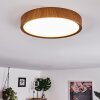 Nexo Lampa Sufitowa LED Ciemne drewno, 1-punktowy
