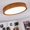 Nexo Lampa Sufitowa LED Ciemne drewno, 1-punktowy