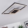Cavareno Lampa Sufitowa LED czarny, 1-punktowy