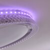 Fondaco Lampa Sufitowa LED Biały, 1-punktowy, Zdalne sterowanie, Zmieniacz kolorów