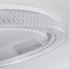 Feletto Lampa Sufitowa LED Przezroczysty, Biały, 1-punktowy, Zdalne sterowanie