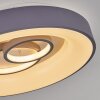 Gabbiana Lampa Sufitowa LED Szary, Biały, 1-punktowy, Zdalne sterowanie