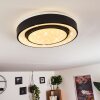 Grimacco Lampa Sufitowa LED Czarny, 1-punktowy, Zmieniacz kolorów